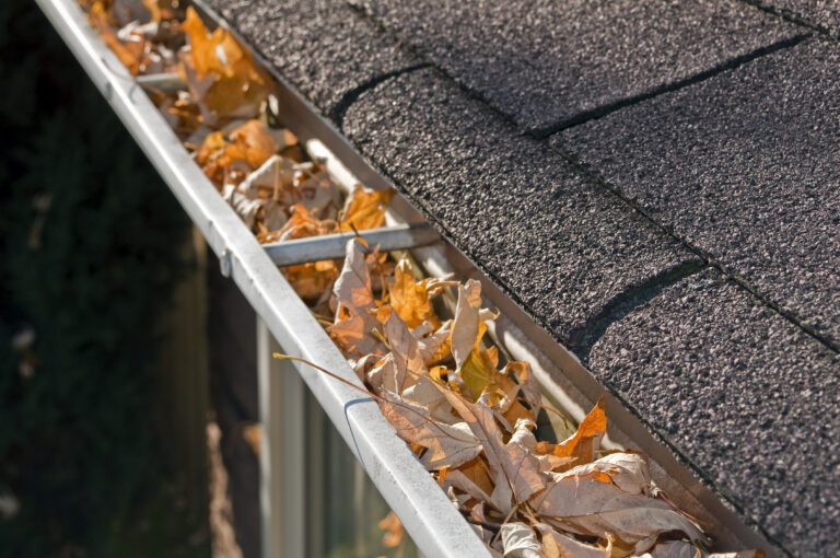 Home maintenance problem: Fall leaves in rain gutter.